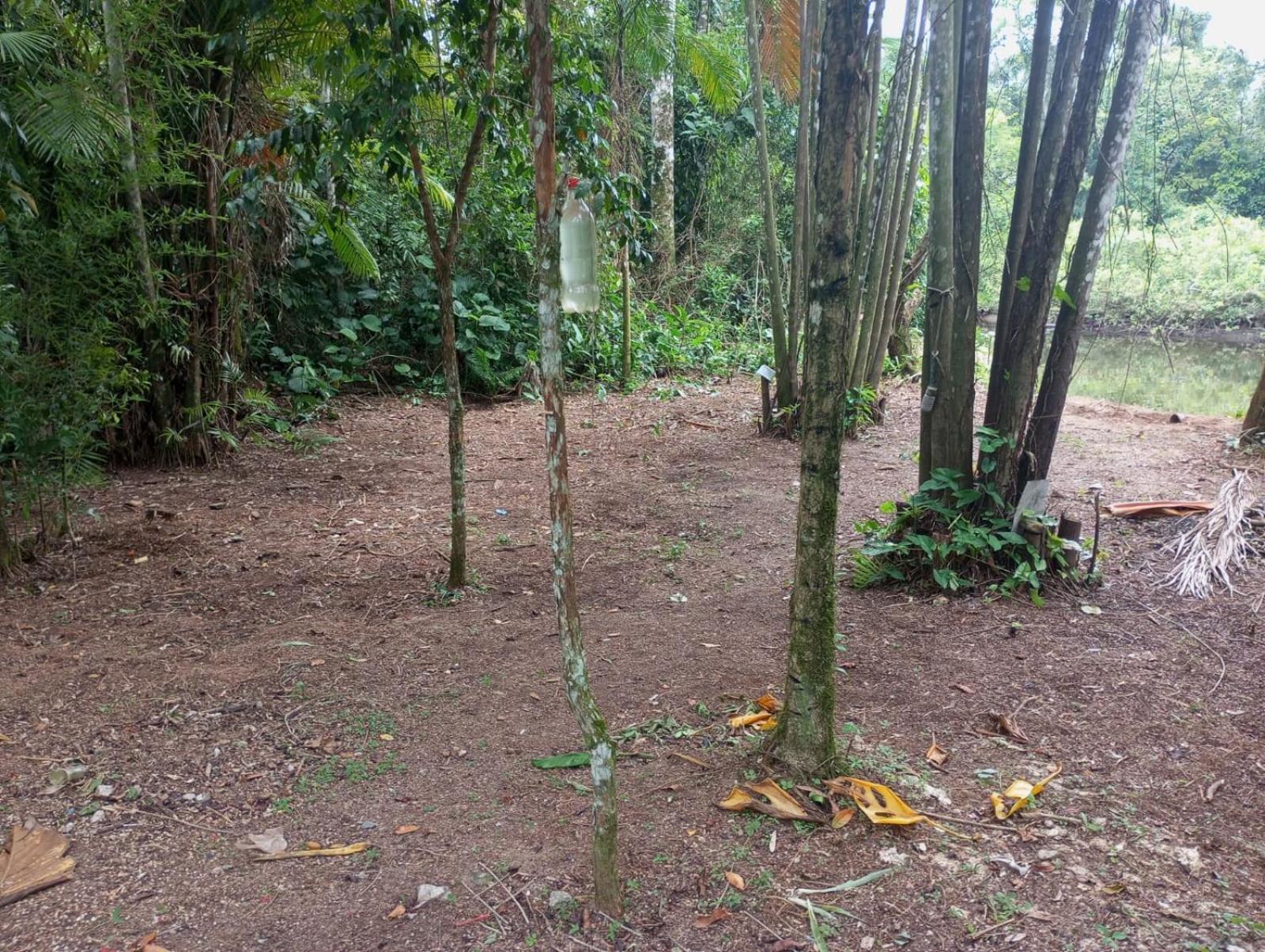 Camping Monte Hermom Ubatuba Kültér fotó